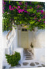 Storefront with Colorful Bougainvillea by Anonymous