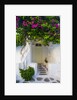 Storefront with Colorful Bougainvillea by Anonymous