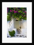 Storefront with Colorful Bougainvillea by Anonymous