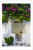 Storefront with Colorful Bougainvillea by Anonymous