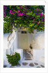 Storefront with Colorful Bougainvillea by Anonymous