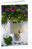 Storefront with Colorful Bougainvillea by Anonymous