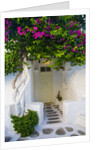 Storefront with Colorful Bougainvillea by Anonymous
