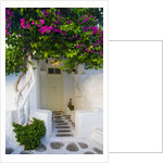 Storefront with Colorful Bougainvillea by Anonymous