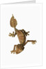 Leaf-tailed Gecko by Anonymous