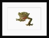 Fringed Gecko by Anonymous