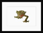 Fringed Gecko by Anonymous