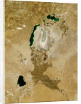 Low Earth Orbit View of the Aral Sea by Anonymous
