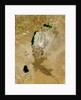 Low Earth Orbit View of the Aral Sea by Anonymous