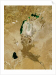 Low Earth Orbit View of the Aral Sea by Anonymous