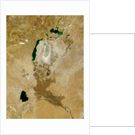 Low Earth Orbit View of the Aral Sea by Anonymous