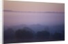 Early Morning Mist by Anonymous