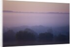 Early Morning Mist by Anonymous