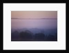 Early Morning Mist by Anonymous
