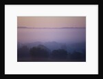 Early Morning Mist by Anonymous
