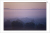 Early Morning Mist by Anonymous