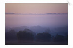 Early Morning Mist by Anonymous