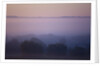 Early Morning Mist by Anonymous