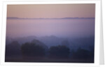 Early Morning Mist by Anonymous
