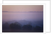Early Morning Mist by Anonymous