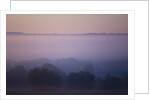 Early Morning Mist by Anonymous