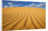 Sand Dune in the Kalahari Desert by Anonymous