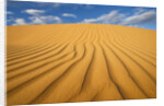Sand Dune in the Kalahari Desert by Anonymous
