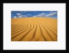 Sand Dune in the Kalahari Desert by Anonymous