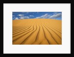 Sand Dune in the Kalahari Desert by Anonymous
