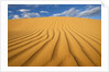 Sand Dune in the Kalahari Desert by Anonymous