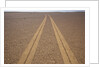 Tire Tracks on the Skeleton Coast by Anonymous