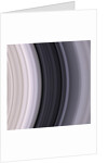 Saturn's Rings by Anonymous
