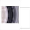 Saturn's Rings by Anonymous