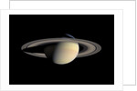 Saturn by Anonymous