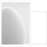 White egg by Anonymous