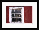 Cat sitting in a barn window by Anonymous