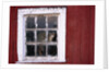 Cat sitting in a barn window by Anonymous