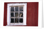 Cat sitting in a barn window by Anonymous
