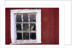 Cat sitting in a barn window by Anonymous