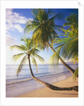 Pigeon Point Beach, Island of Tobago by Anonymous