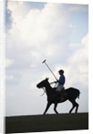 Polo player riding polo pony by Anonymous