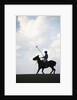 Polo player riding polo pony by Anonymous