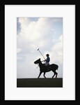 Polo player riding polo pony by Anonymous