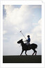 Polo player riding polo pony by Anonymous