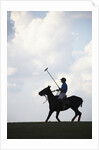 Polo player riding polo pony by Anonymous