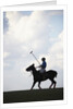 Polo player riding polo pony by Anonymous