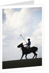 Polo player riding polo pony by Anonymous