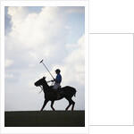 Polo player riding polo pony by Anonymous