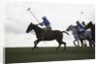 Polo game by Anonymous