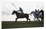 Polo game by Anonymous
